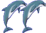 dolphinquotesleft.gif