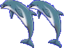 dolphinquotesright.gif