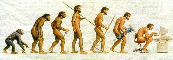 evolution.jpg