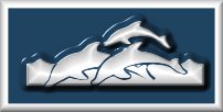 portholedolphins.jpg